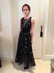 Super Hot Emma Watson Nudes Leaked on the Internet