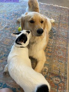 Peachjars Onlyfans Latest Nude Photo Leaks